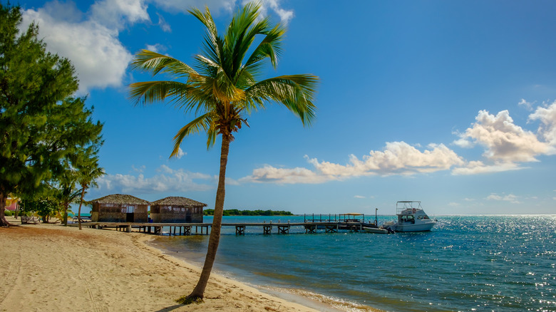 View of the beach at Little Cayman