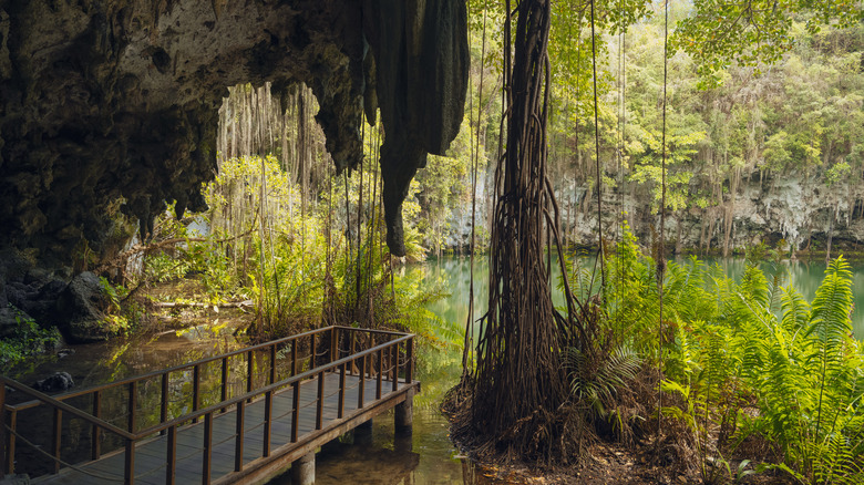 The Three Eyes National Park in Santo domingo Dominican Republic