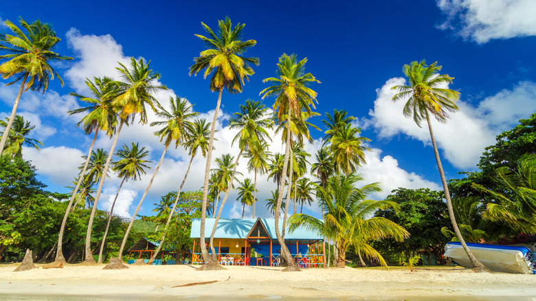 Tropical beach shack and palms on Providencia