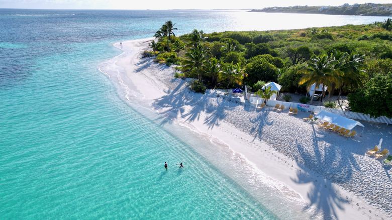 Blue water, white sand, palm trees, beach loungers, and gentle waves at Shoal Bay East on Anguilla.