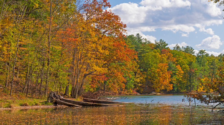 Trees with orange, yellow, and green leaves line the banks around Lake Chenango, near Binghamton, New York.