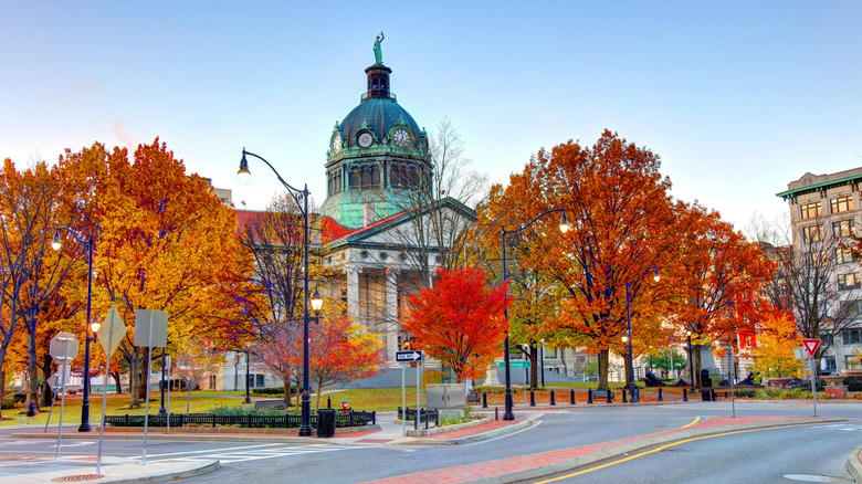 A historic city hall building surrounded by trees with orange leaves in Binghamton, New York.