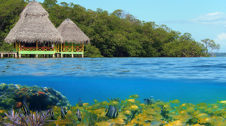 View  from underwater of an overwater bungalow resort, Bocas del Toro, Panama