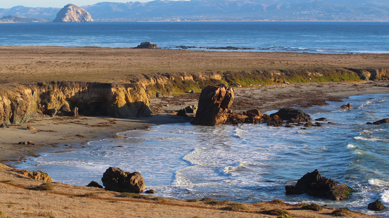 Estero Bluffs State Park in California