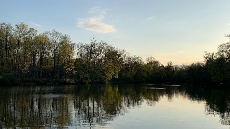 Calm waters at Minerva Lake with tree reflections and rocks