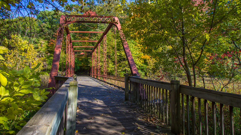 Restored steel bridge in wooded park