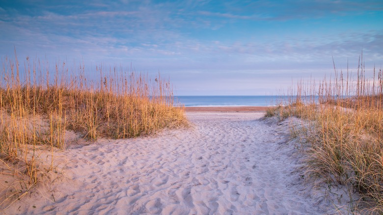 Sandy path through beach dunes with sea grass leading to the ocean in Carolina Beach