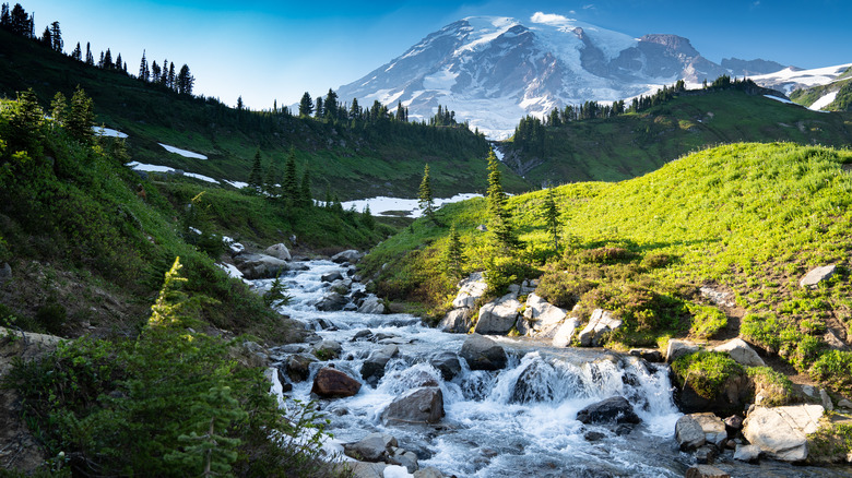 Waterfalls in front of Mount Rainier