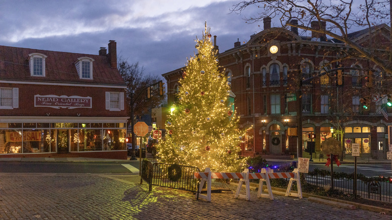 Rustic decorated Christmas tree in Daylesburgh PA