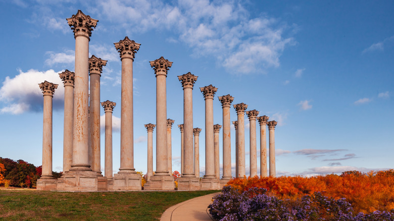 Capitol Columns at the National Arboretum, Washington, D.C.