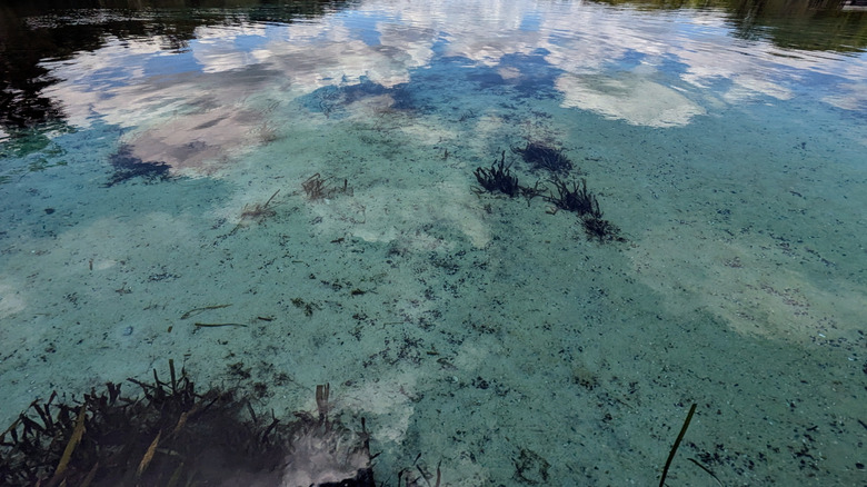 Water reflecting clouds in Jackson Blue Springs park