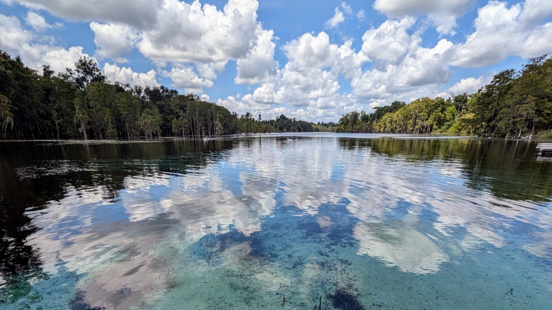 Water reflecting clouds in Jackson Blue Springs park