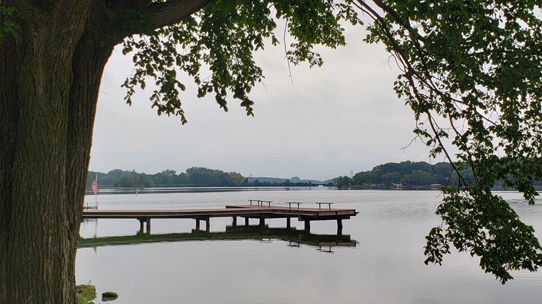 Overhanging tree branch and dock on lake