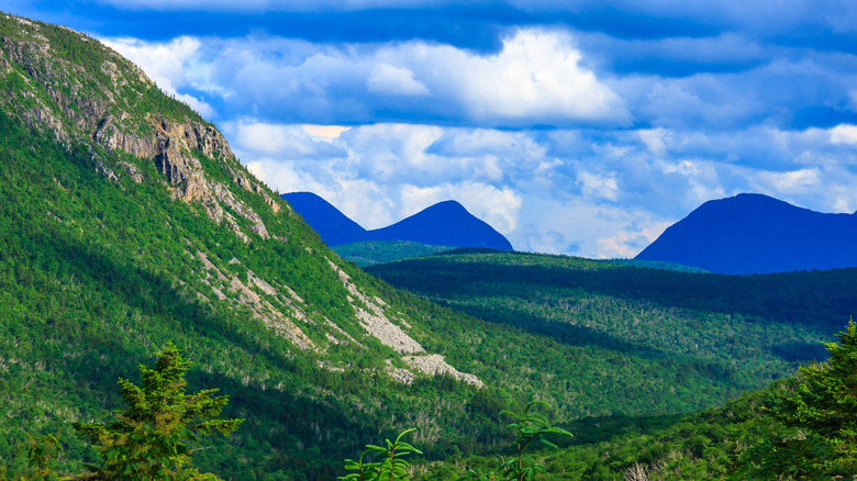 Mountains and forest in the White Mountains