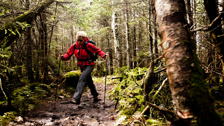 Hiker in the New Hampshire woods