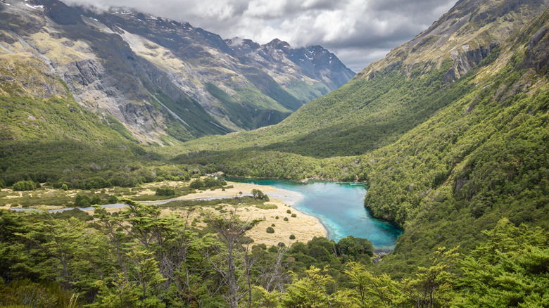Blue lake surrounded by forest and mountains