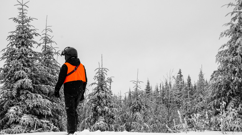 Person in black with hunter orange vest in snowy forest