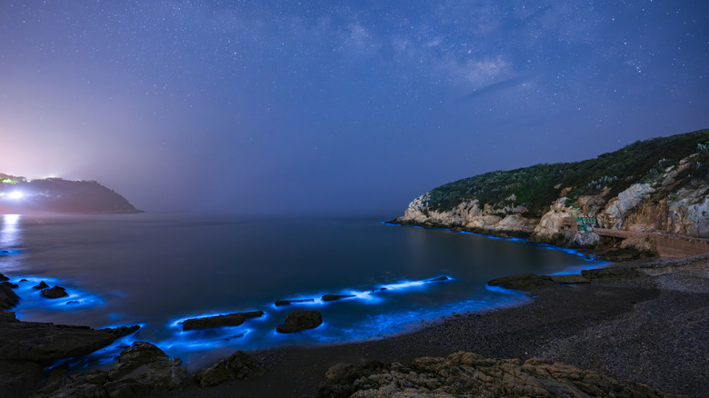 The Blue Tears in the Matsu Islands, Taiwan