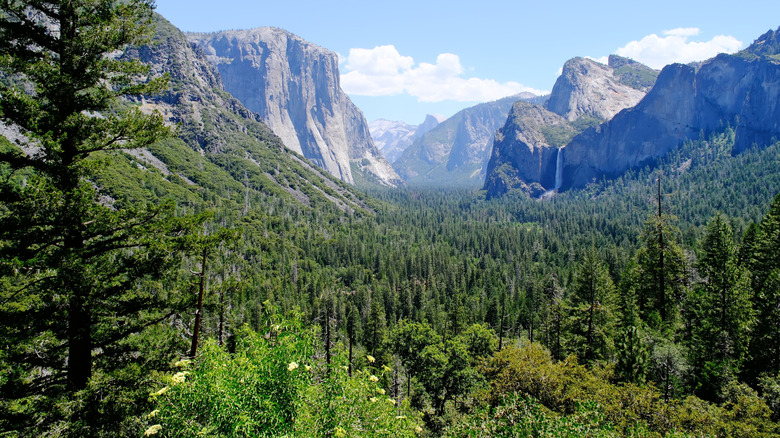 Yosemite National Park tunnel view