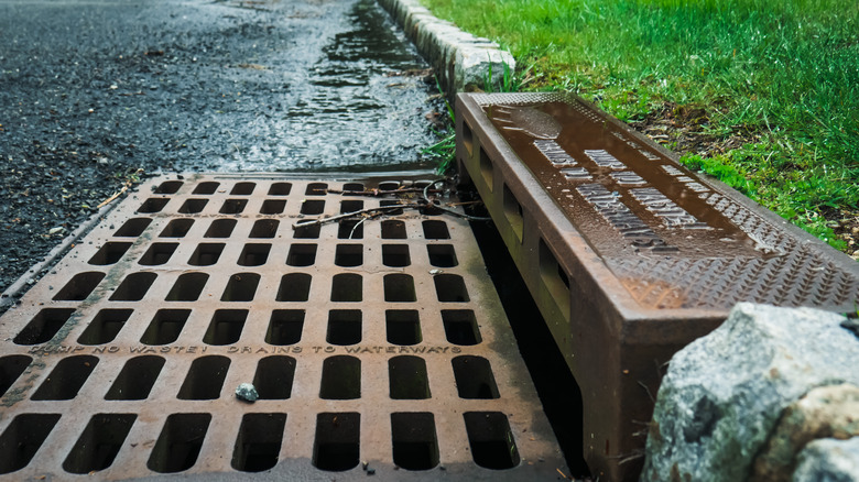 Close-up of a storm drain in the U.K. that reads "Dump No Waste! Drains To Waterways"