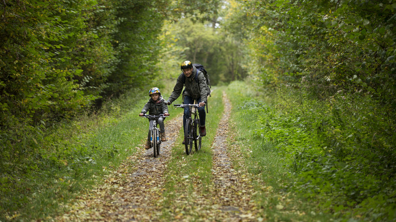 Man and child cycling through a Danish forest