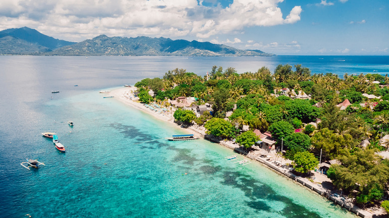 Crystal clear water and trees on the Gili Islands in Indonesia