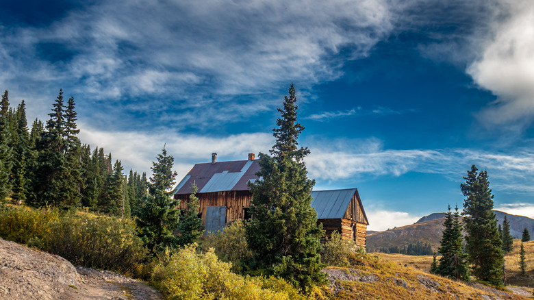 A modern forest cabin with solar panels