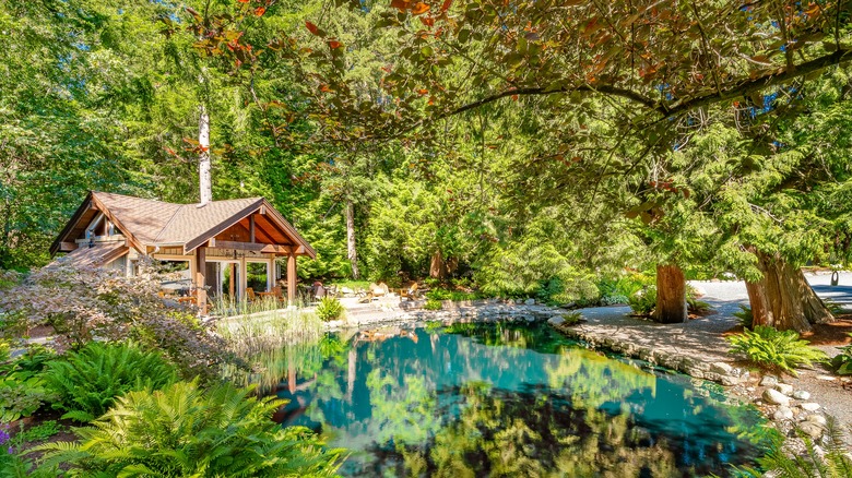 A vacation real overlooking a serene pond