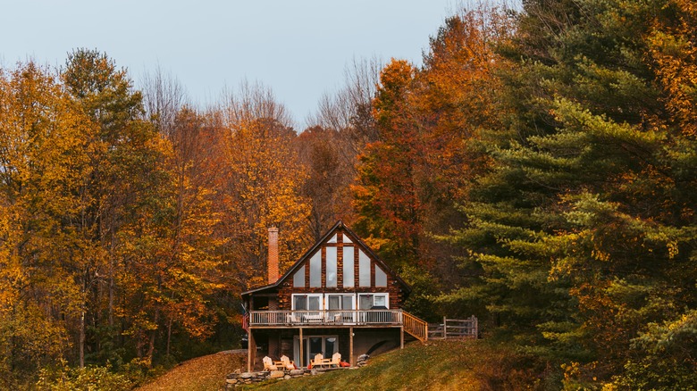 A hillside cabin in autumn