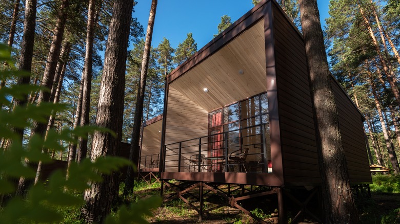 A unique cabin rental surrounded by trees