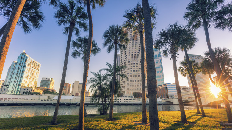Skyline of Tampa at twilight.