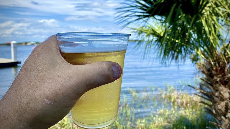 A hand holding a light beer in a plastic pint glass, toward a palm tree on the shoreline