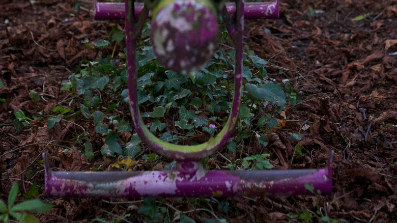 Old swings at abandoned theme park
