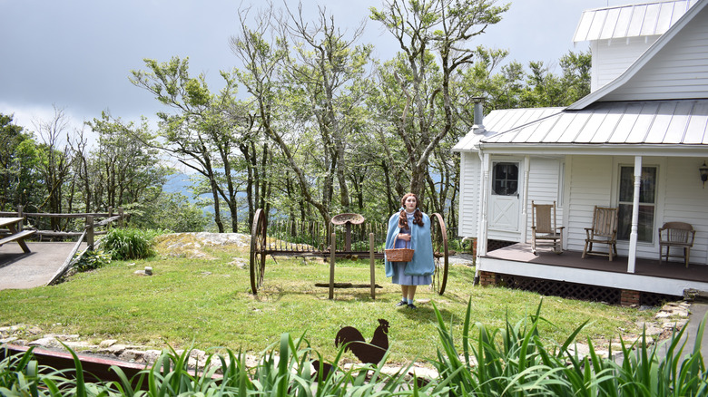 Dorothy standing before the Gale house at the park