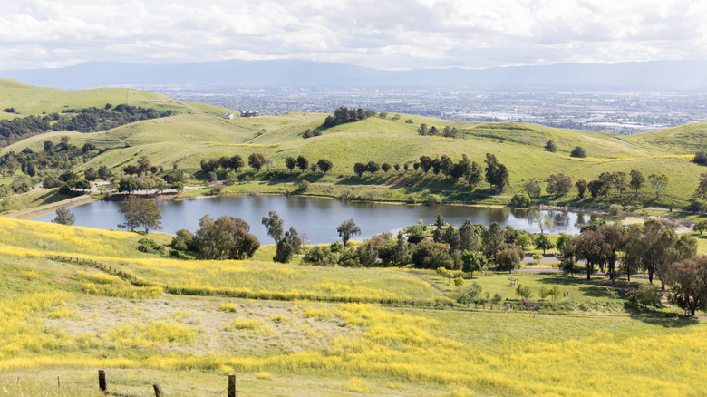 Ed R. Levin County Park grounds Milpitas, California
