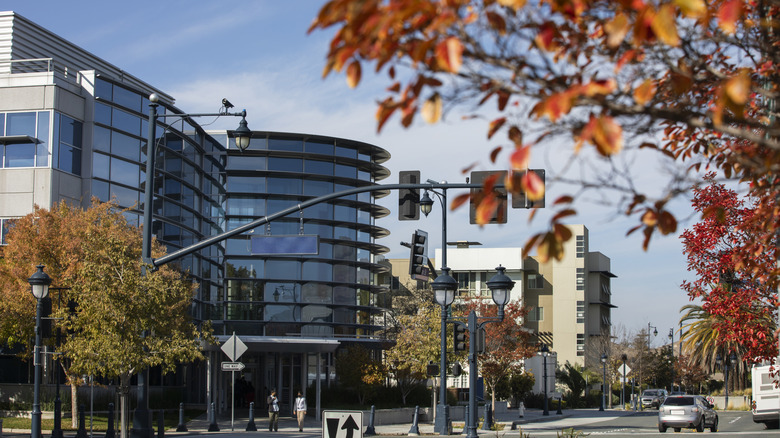Fall leaves flutter in downtown Milpitas, California