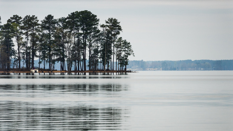 Dreher Island State Park, the largest island on Lake Murray