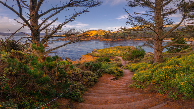 Stairs down to Whalers Cove in Point Lobos State Natural Reserve
