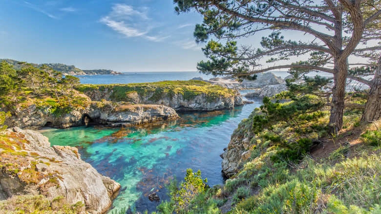 China Cove at Point Lobos
