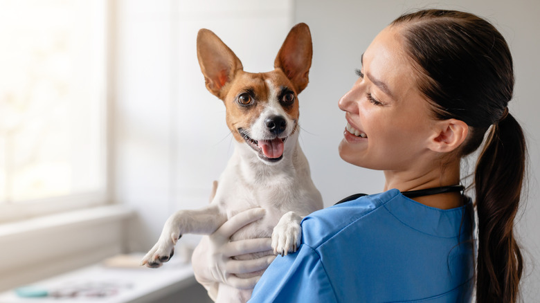 Veterinarian holding a dog