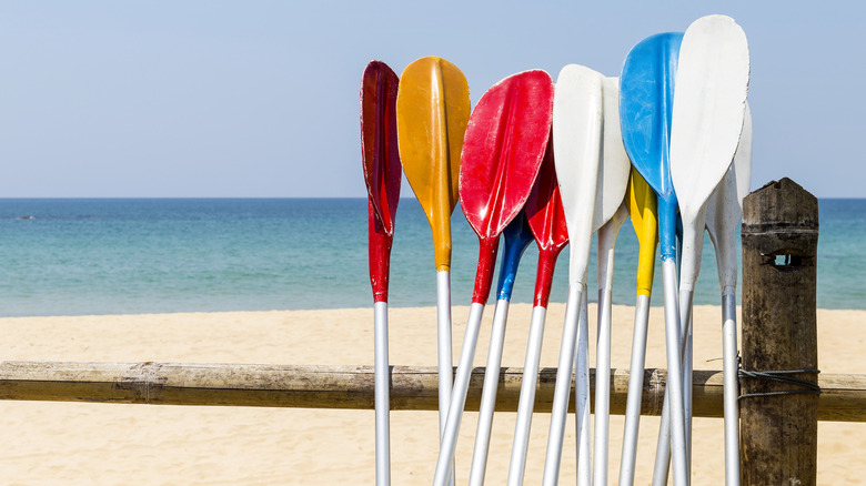 A group of colorful oars leaning on a fence with beach behind