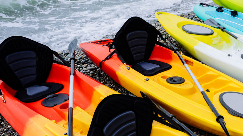 Kayaks along a shoreline