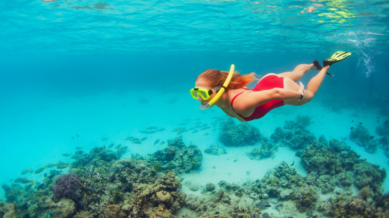 Woman snorkeling in a coral reef