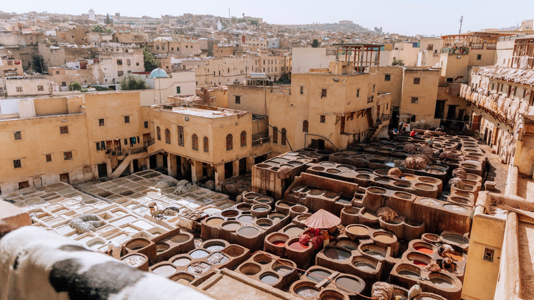 The Chouara Tannery in Fez, Morocco