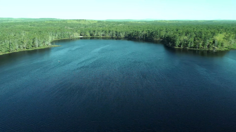 Lake Dennison from above