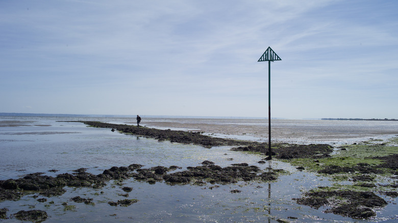 A pole marking the submerged Broomway path off the coast of Essex, England