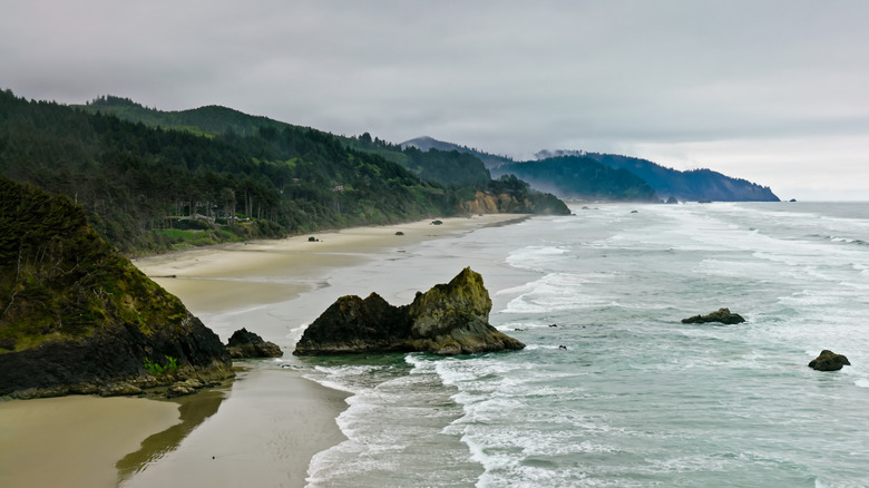 a beach on the rugged coast of Oregon