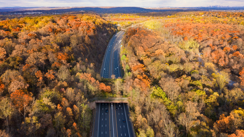 Wildlife overpass in Watchung, New Jersey