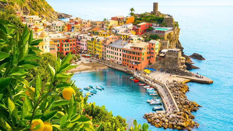 The village of Vernazza in Italy's Cinque Terre