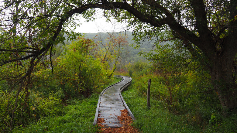 Boardwalk at Pawling trailway on Appalachian Trail